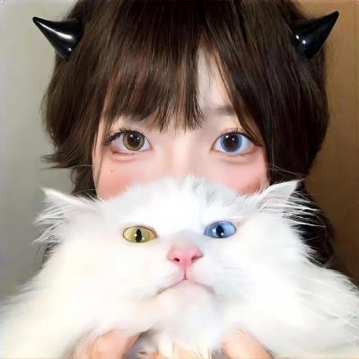 泰渝记